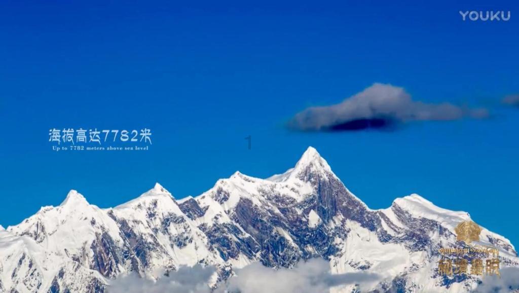 燃烧吧大脑免广告最新版